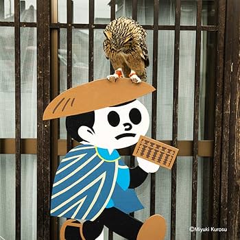 Amazon.com: もふもふフクロウ ガルーさんの休日: 9784396616595